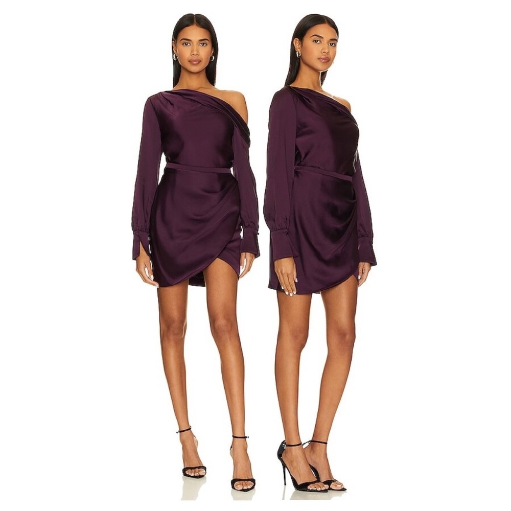 SIMKHAI Cameron One-Shoulder Minidress Sz 8
NWT in Plum